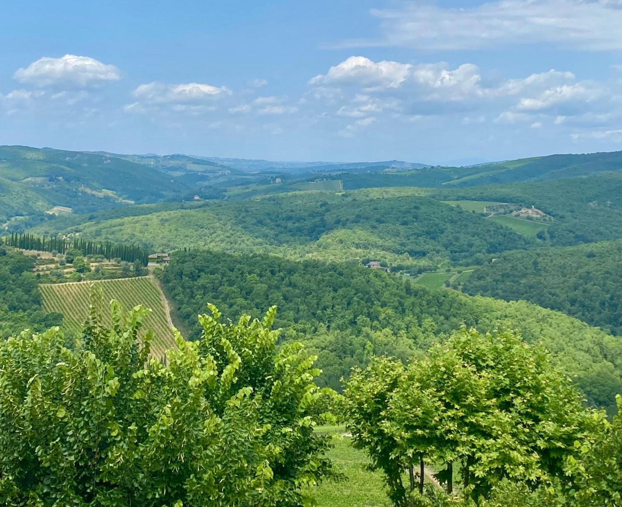Casa Marina Βίλα Radda in Chianti Εξωτερικό φωτογραφία